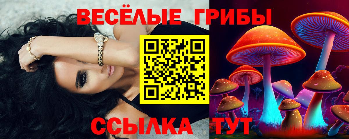 Галлюциногенные грибы мухоморы Алейск